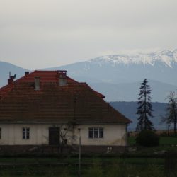 SONY DSC